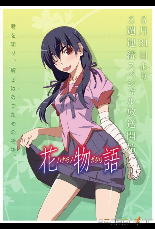 История цветов / Hanamonogatari (2014)