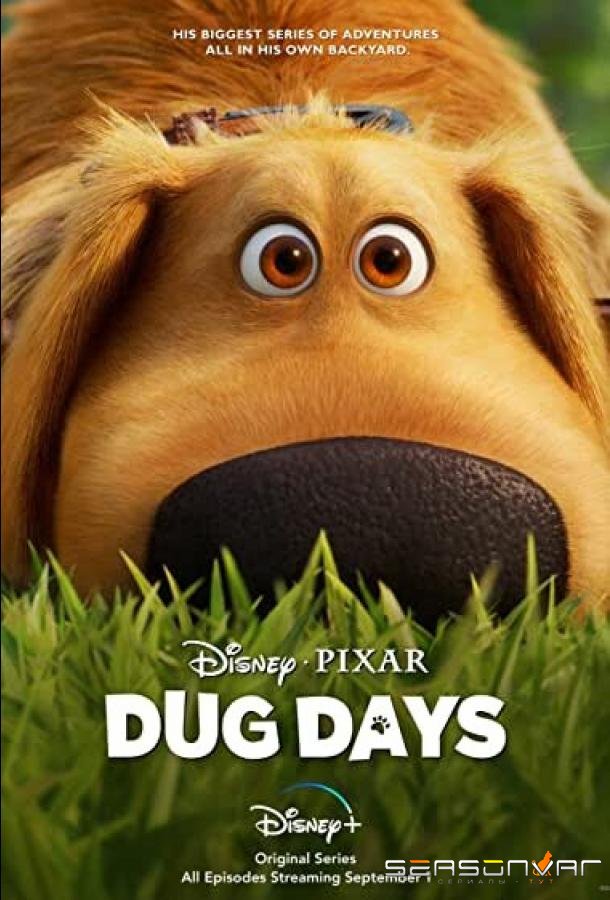 Будни Дага / Dug Days (2021)