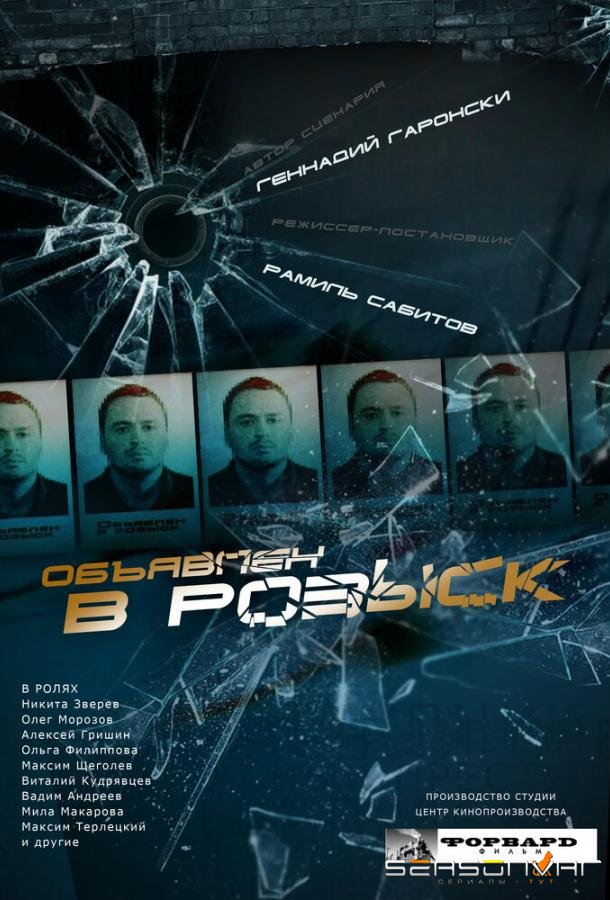 Объявлен в розыск /  (2010)