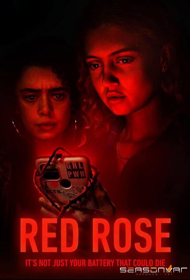 Красная роза / Red Rose (2022)