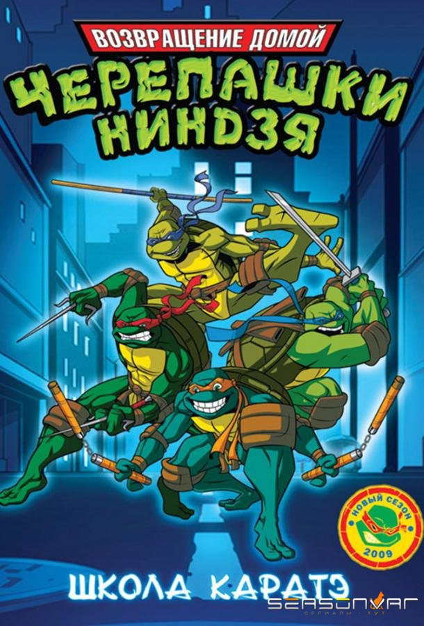 Мутанты черепашки ниндзя. Новые приключения! / Teenage Mutant Ninja Turtles (2003)