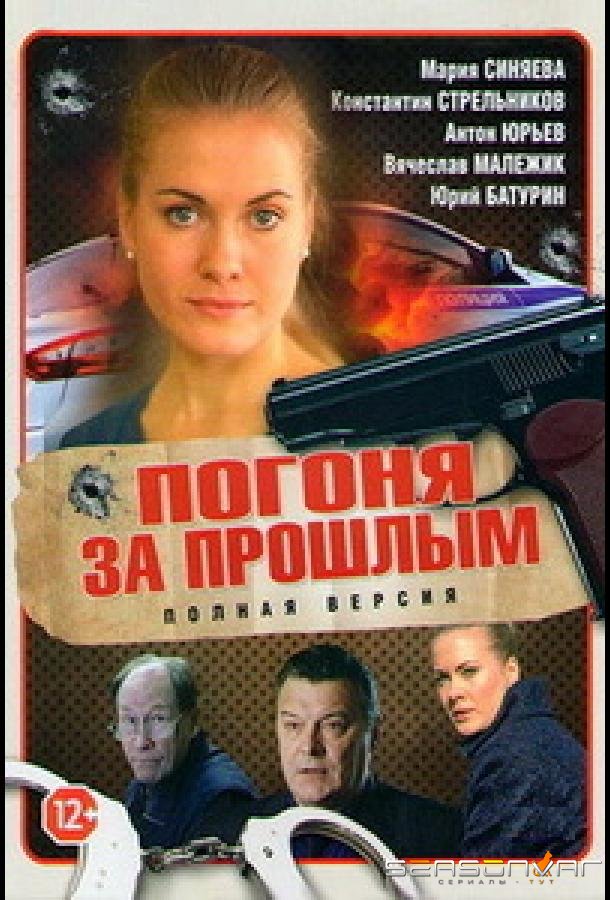 Погоня за прошлым /  (2015)