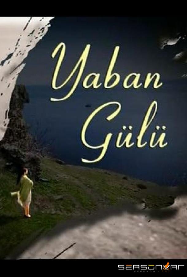 Дикая роза / Yaban Gülü (2008)