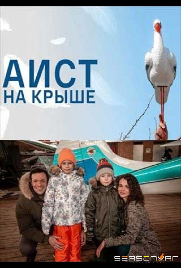 Аист на крыше /  (2021)