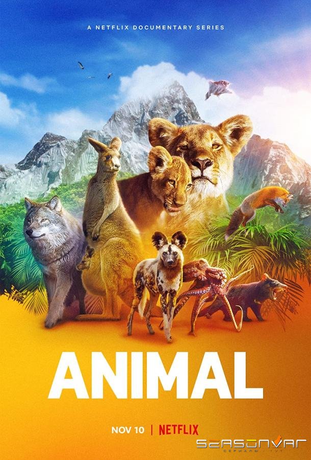 Удивительные животные / Animal (2021)