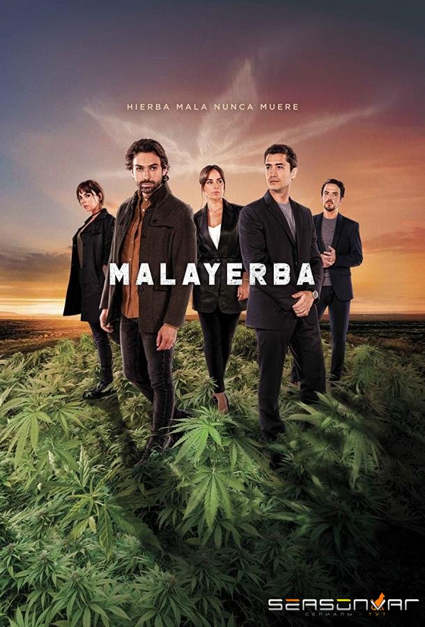 Дурная трава / MalaYerba (2021)