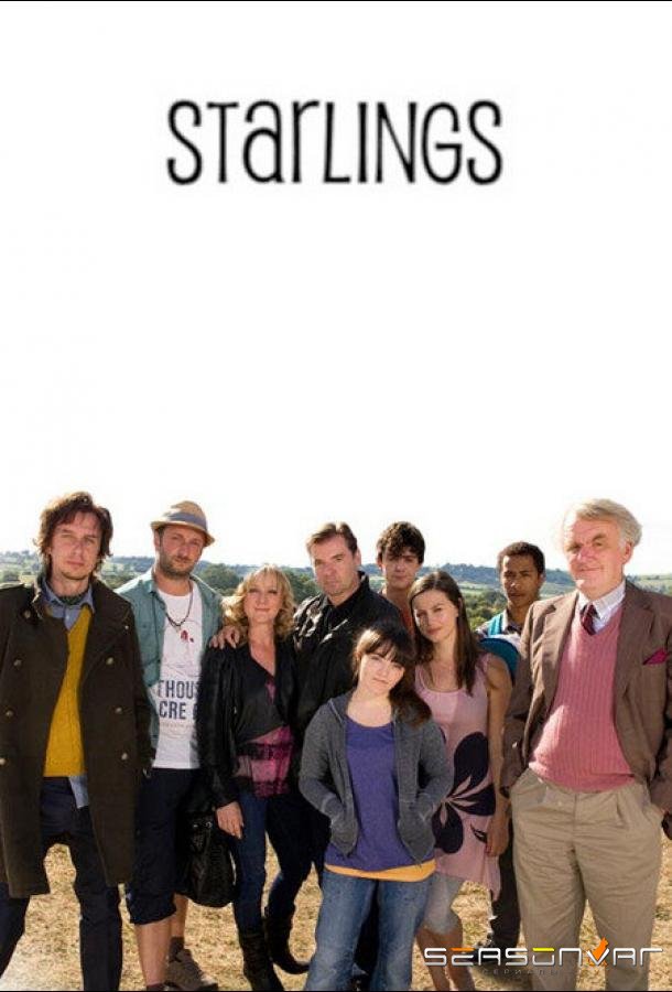 Старлинги / Starlings (2012)