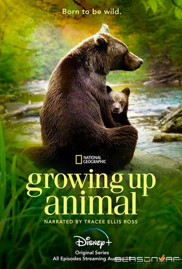Взрослеющее животное / Growing Up Animal (2021)