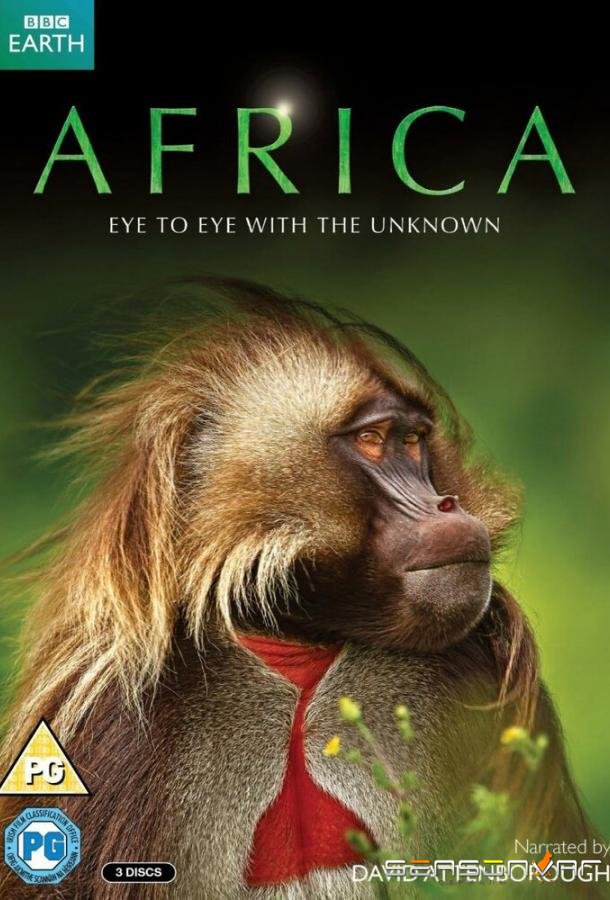 Африка / Africa (2013)