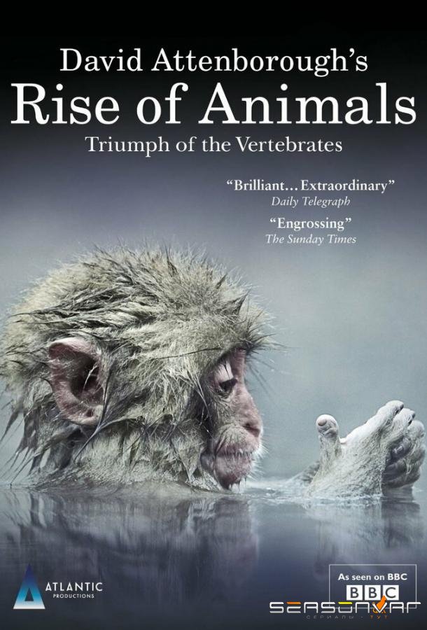 Восстание животных: Триумф позвоночных / Rise of Animals: Triumph of the Vertebrates (2013)