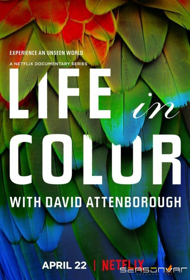 Жизнь в цвете с Дэвидом Аттенборо / Life in Colour (2021)