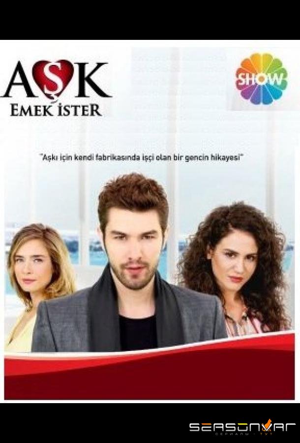 Любовь требует усилий / Aşk Emek İster (2013)