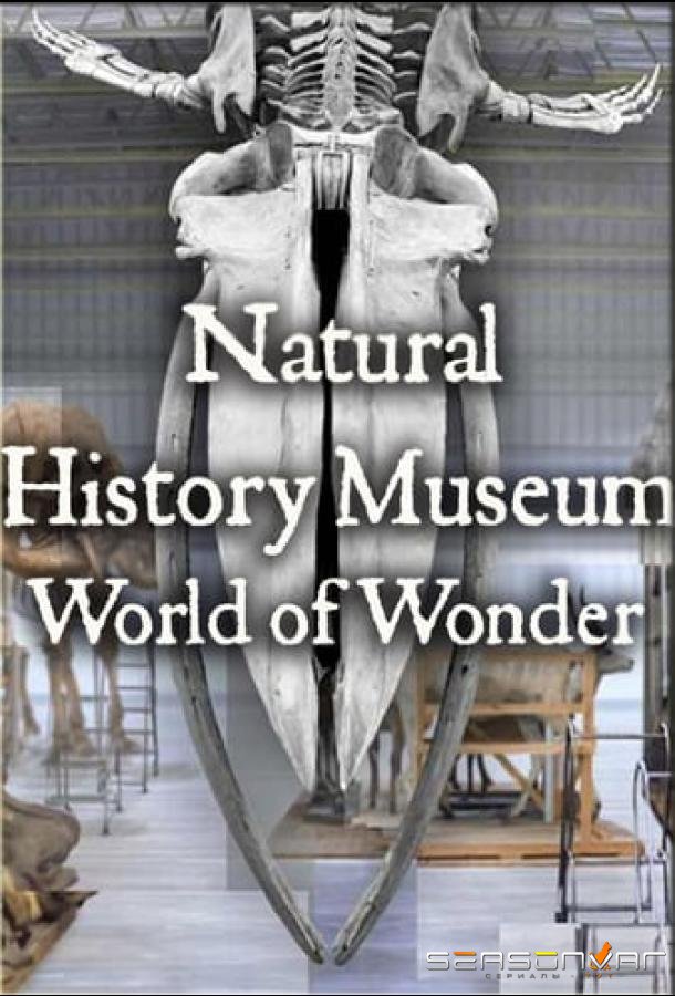 Natural History Museum: World of Wonder /  (2021)