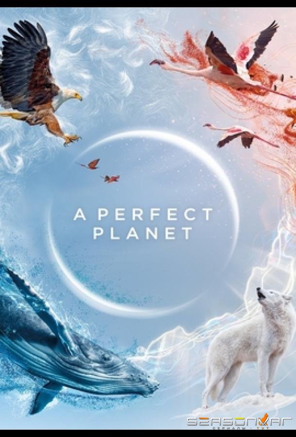 Идеальная планета / A Perfect Planet (2021)