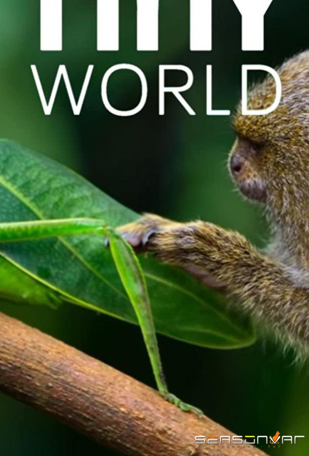 Крошечный мир / Tiny World (2020)