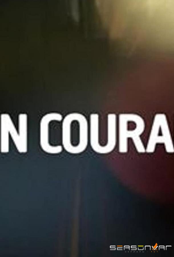 Участок / Main courante (2012)