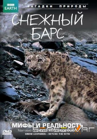BBC: Снежный барс: Мифы и реальности / Natural World: Snow Leopard - Beyond the Myth (2007)