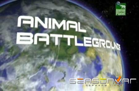 Поля Звериных Сражений / Animal Battlegrounds (2006)