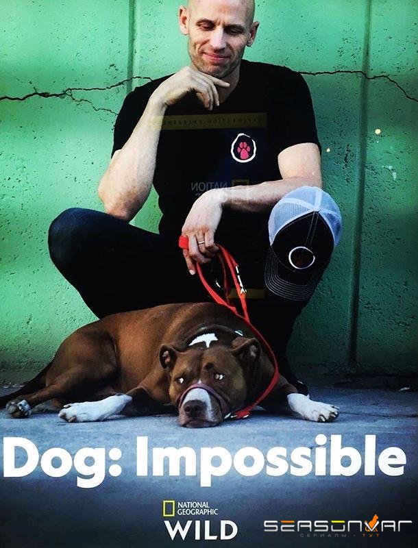 Собака: Невозможное возможно / Dog: Impossible (2019)