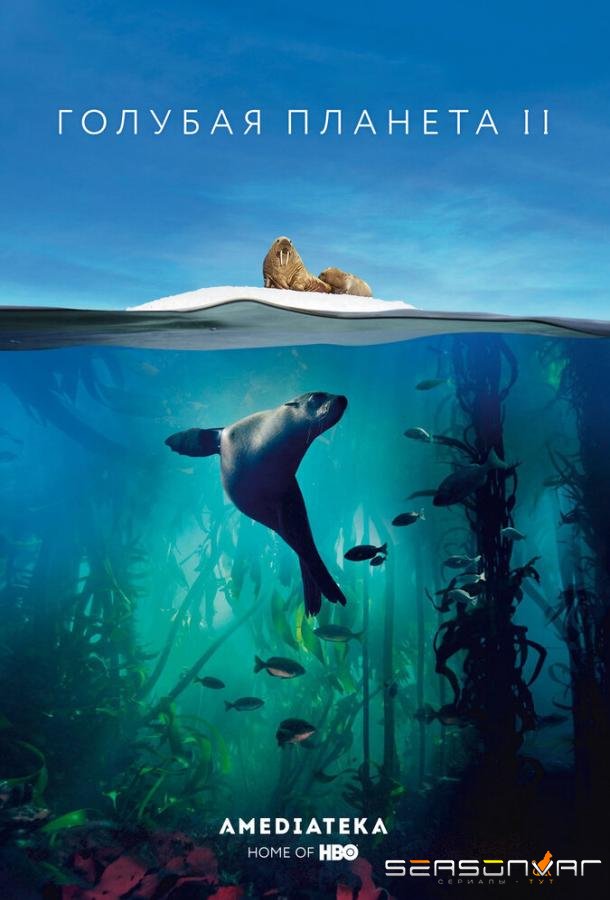 Голубая планета 2 / Blue Planet II (2017)