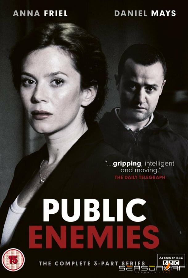 Враги общества / Public Enemies (2012)
