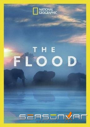 Потоп / The Flood (2018)