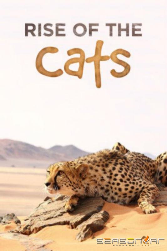 Большие кошки: Удивительная семья / Cats: An Amazing Animal Family (2015)