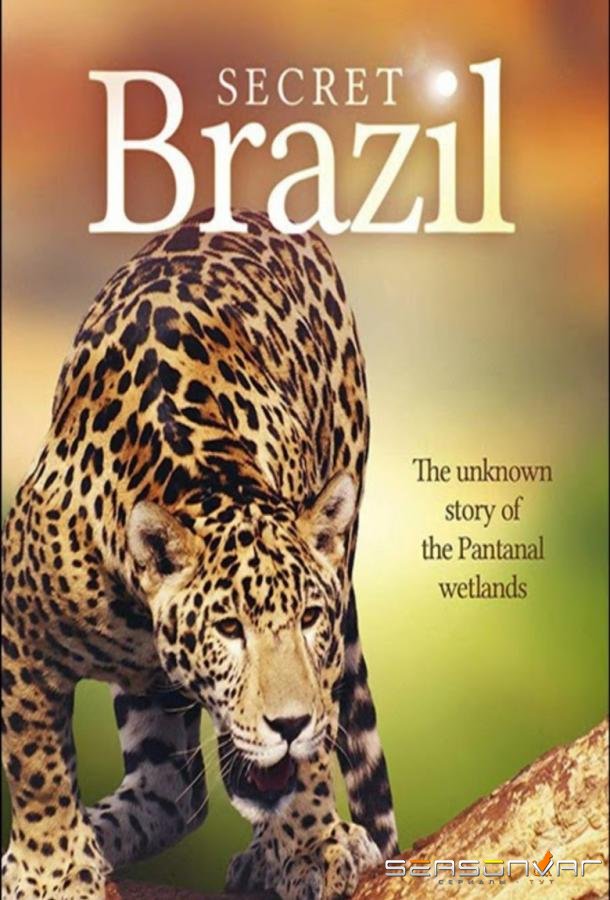 Неизвестная Бразилия / Secret Brazil (2012)