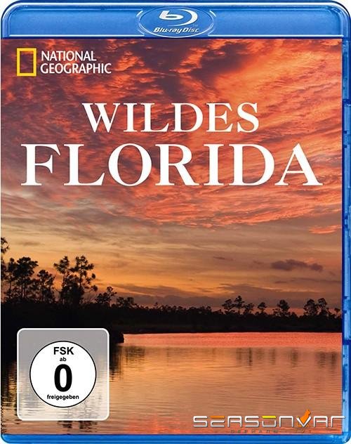 Дикая Флорида / Wild Florida (2013)