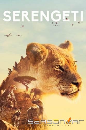 BBC: Серенгети / Serengeti (2019)