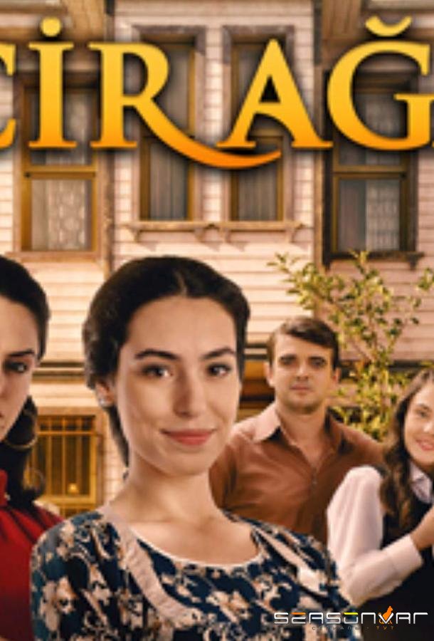 Фиговое дерево / İncir Ağacı (2019)