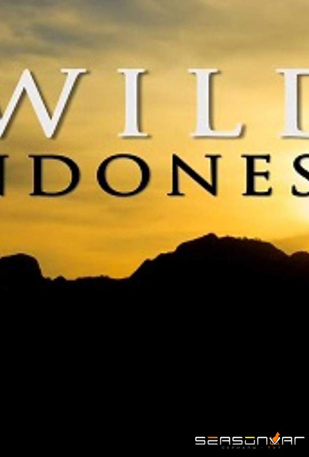 Дикая Индонезия / Destination Wild: Indonesia (2015)