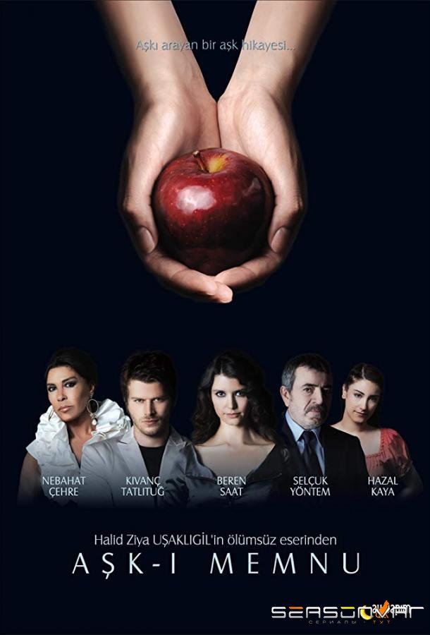 Запретная любовь / The Forbidden Love (2008)