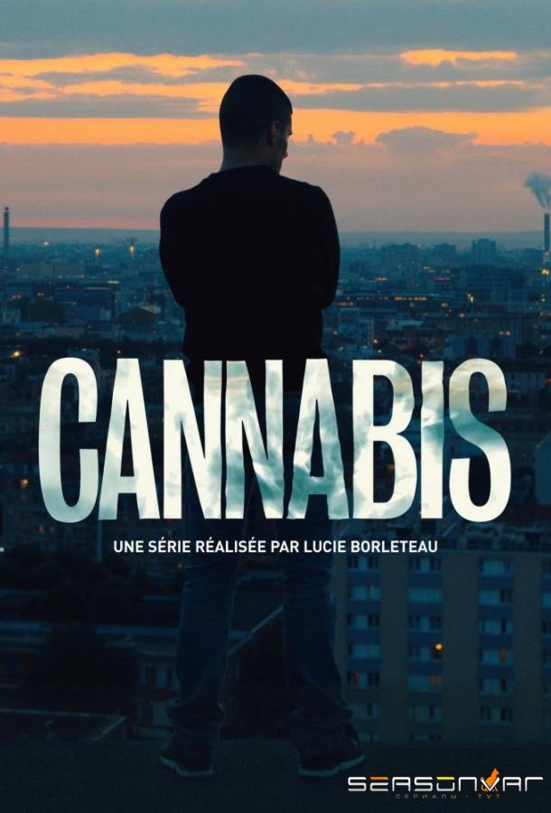 Каннабис / Cannabis (2016)