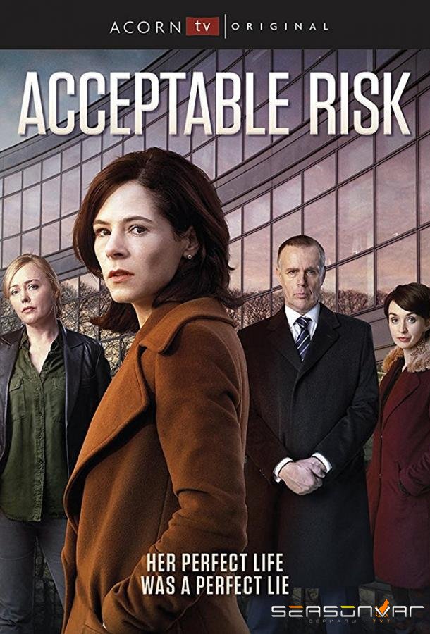 Допустимый риск / Acceptable Risk (2017)