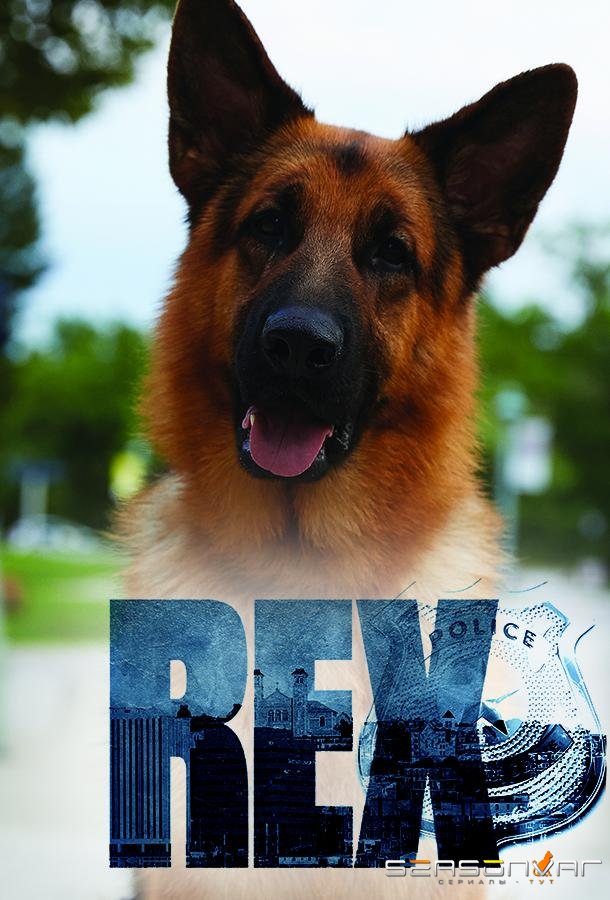 Хадсон и Рекс / Hudson & Rex (2019)