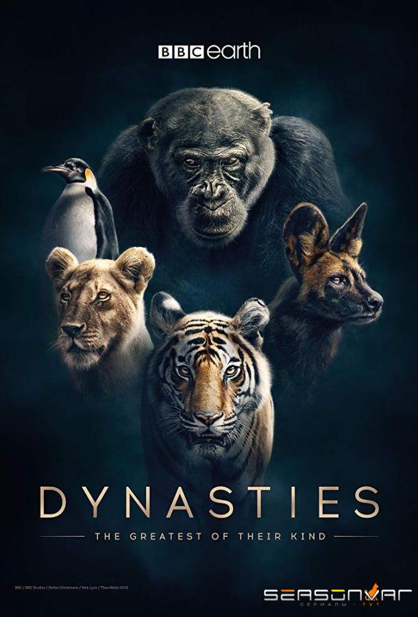 Династии / Dynasties (2018)