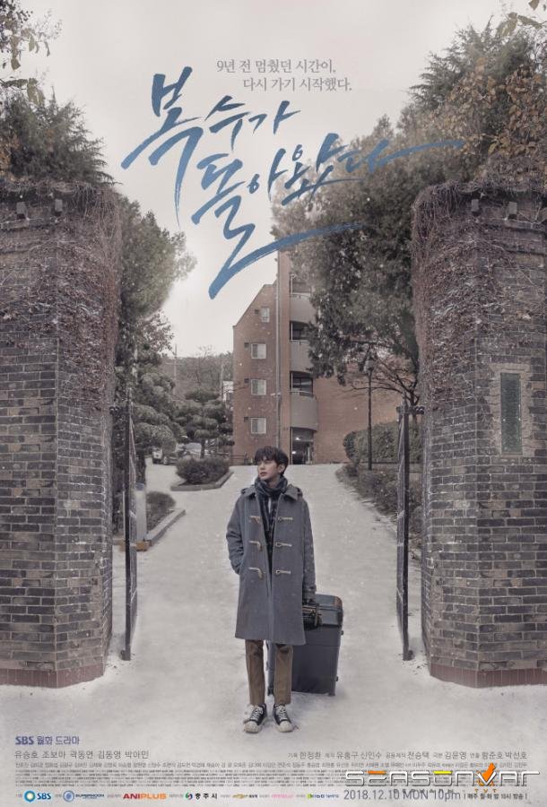 Возвращение Бок Су / Мой странный герой / Bok-Soo's Back (2018)