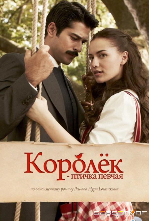 Королёк – птичка певчая / Çalıkuşu (2013)