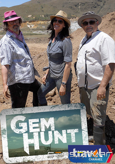 В погоне за драгоценностями / Gem Hunt (2013)