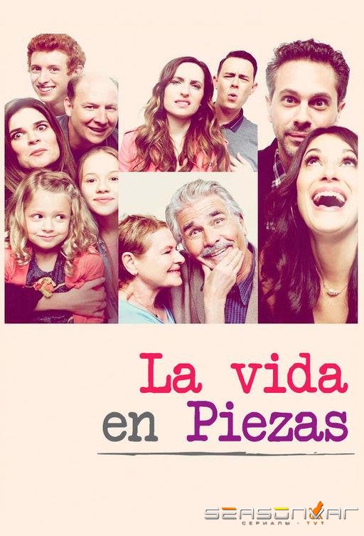 Жизнь в деталях / Life in Pieces (2015)