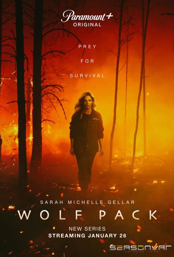 Волчья стая / Wolf Pack (2023)