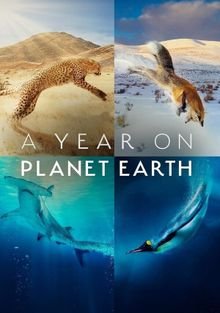 Год на планете Земля A Year on Planet Earth (2022)