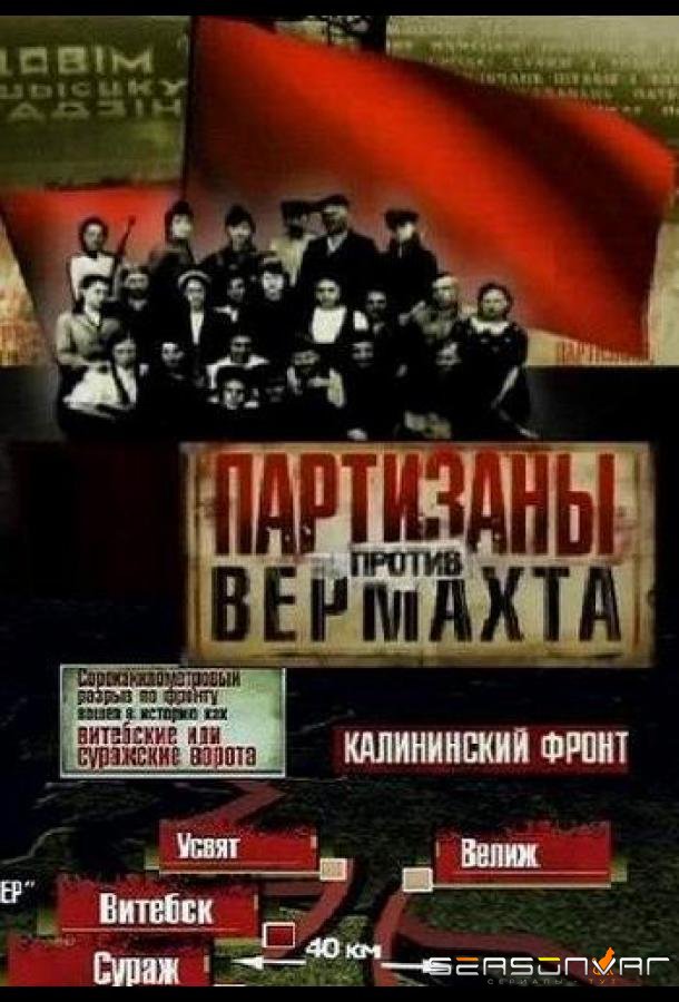 Партизаны против Вермахта /  (2010)