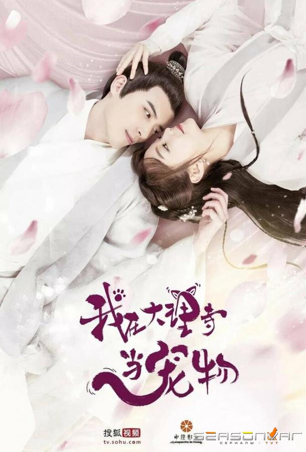 Я — питомец в храме Дали / Wo zai da li si dang chong wu (2018)