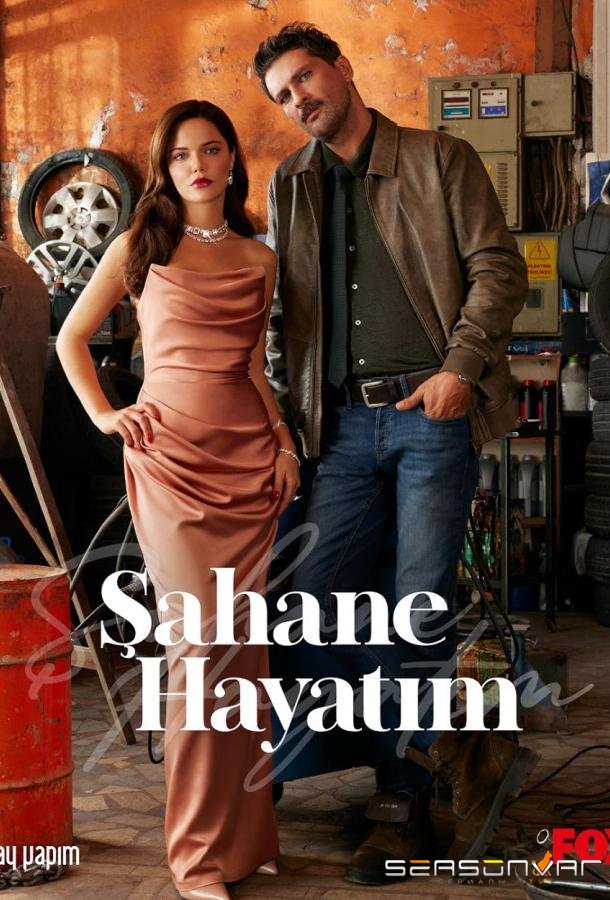 Моя прекрасная жизнь / Sahane Hayatim (2023)
