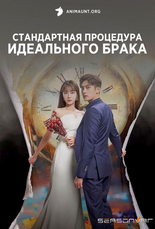 Стандартная процедура идеального брака / Standard Procedure of Perfect Marriage / Wanbyeokhan Gyeolhonui Jungseok (2023)