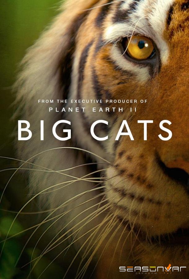 Большие кошки / Big Cats (2018)