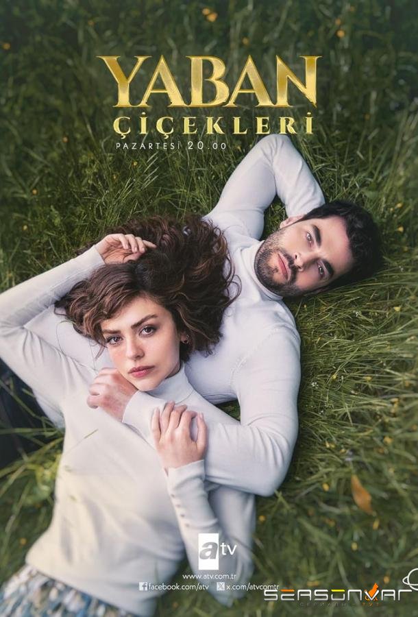 Дикие цветы / Yaban Çiçekleri (2024)