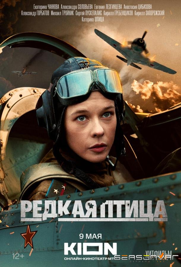 Редкая птица /  (2024)